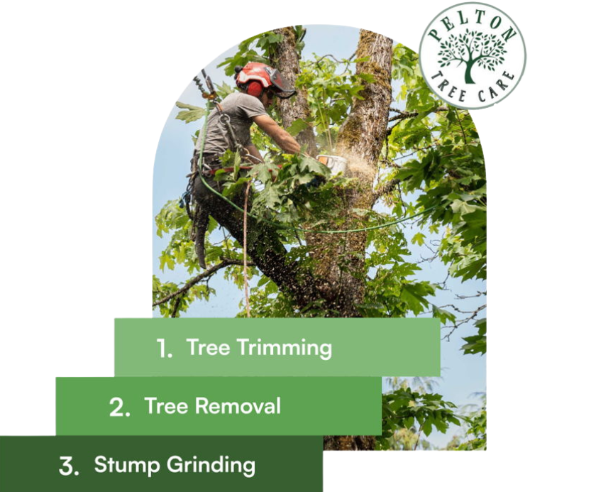 Pelton Tree Care - Tree Service Professional